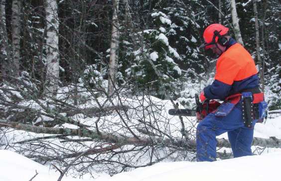 12 Arbetskraft Labour Force Urvalsramen för skogsentreprenörerna utgörs av företag som i centrala företags- och arbetsställeregistret har näringsgrenskod skogstjänster enligt standarden för svensk