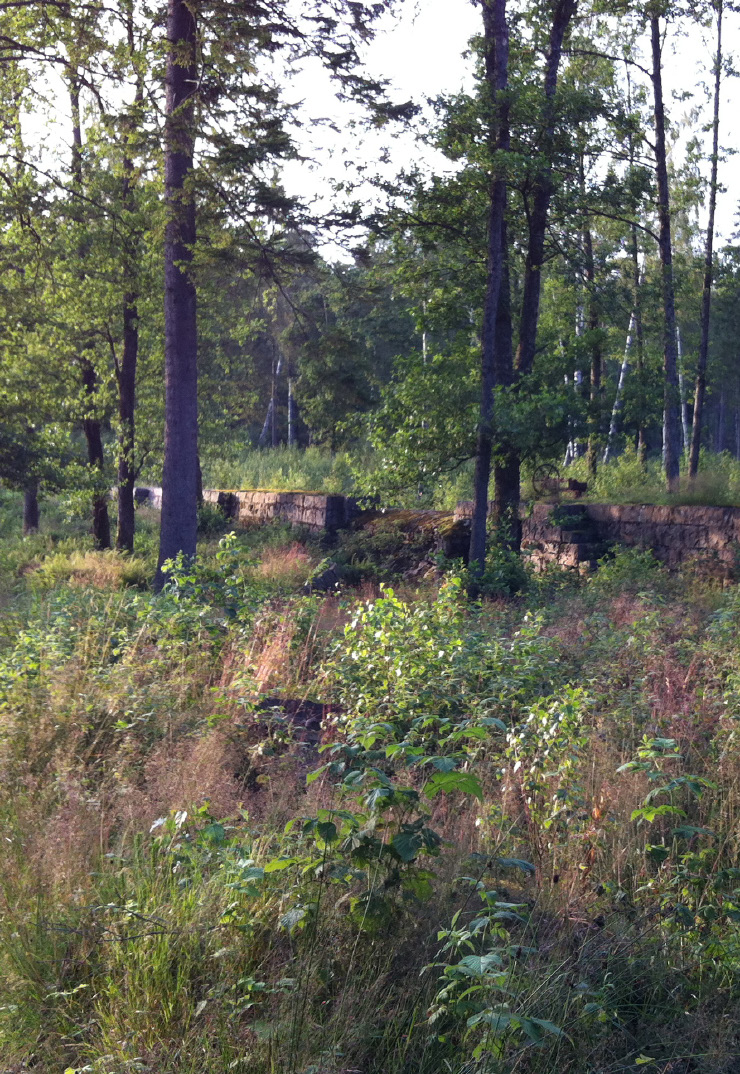 Skogsstatistisk årsbok innehåller uppgifter om skogen, skogsbruket och skogsindustrin. Här finns information om ägarstruktur, skogsmark, skogsvård, internationell statistik m.m. Årsboken ingår i Sveriges officiella statistik.