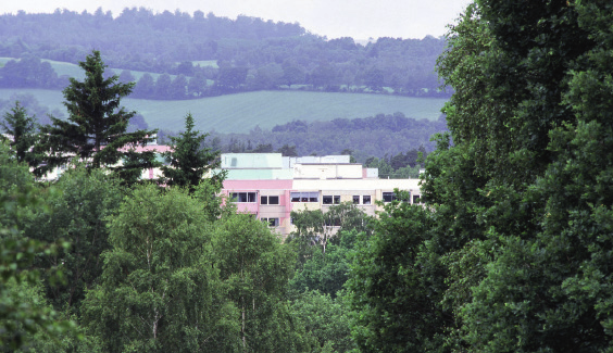 3 Skog och skogsmark Forest and Forest Land balansen. Detta kan göras för hela landet eller för områden, ägargrupper, trädslag osv.