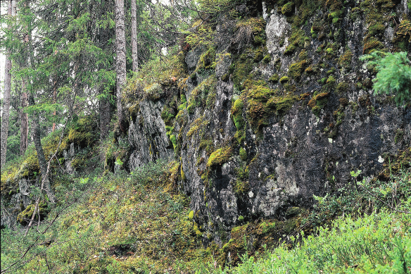 5 Skogens mångfald och skydd Forest Diversity and Protection 1 2 3 4 5 kan innebära att ett begränsat område beläggs med restriktioner för skogsbruk för att gynna biologisk mångfald.