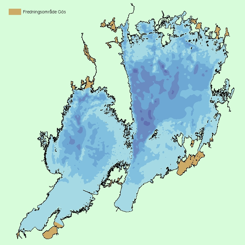 Metod De utvalda områdena för provfisket i Vänern 2010 var Ölmeviken, Gatviken, Lommefjärden vid Spårö (som ersättare till Dättern 2009) samt Fågelöviken (figur 1).