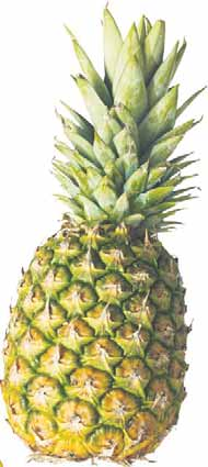 ANANAS KANONPRIS 15k/st