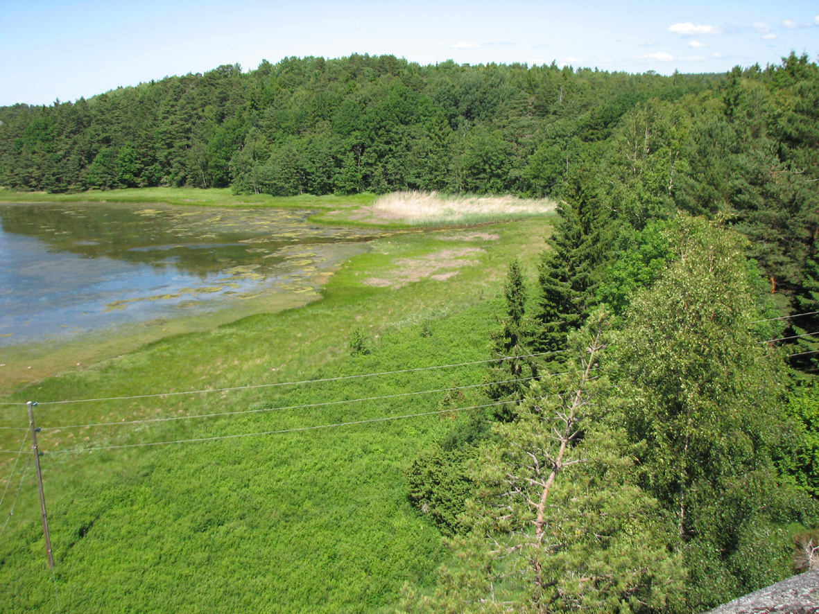 Mot bergskanten på västra sidan (6525813/1234994) förekommer ett litet ängsfragment med nattviol ( ), ängskovall, gul- och vitmåra samt blodrot.