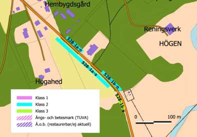 2, käringtand 2, ängsvädd 2 (90), ljung 2, gökärt 2 Insekter Rödlistade/ind. Bomiljöer Hot Skötselbehov Skötselprioritet 1 Guldsandbi 1 hona (tidigare observation), sexfläckig bastardsvärmare 1 ind.