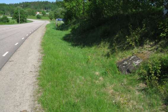 554-2: En sydvänd stor ytterslänt som dock delvis är beskuggad på grund av träd som står i slänten och dess överkant.