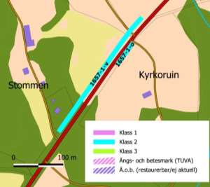 blåklocka 2, gökärt, skogsklöver 2, bockrot 1 Insekter Guldsandbi 1 hane (i ovanliggande slänt), långhornsbi 1 hane (i anslutande kulle) tandsandbi 1 hona, blåklockshumla, ängspärlemorfjäril,