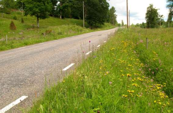 1706-1: Blomrika vägkanter och större ytterslänter i anslutning till blomrika hagmarker med mycket gott om gökärt. Inventeringen största antal honor av väddsandbi noterades i vägkanterna.