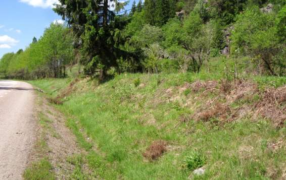 O 1757-2 Horsvad En sydvänd ytterslänt där det växer en hel del åkervädd. Väddsandbi observerades vid sträckan. Strax norrut finns en sydvänd banvall.