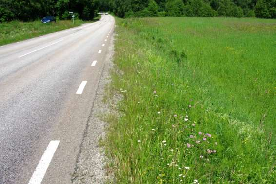 1758-3: En blomrik sträcka med gott om åkervädd, främst längs innerslänterna. En hona av väddsandbi observerades längs sträckan.