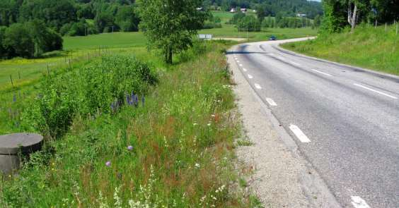 O 1758-5 Erikstorp Blomrikare vägkanter med en del åkervädd. Längs vägens östra kant finns en större ytterslänt med tunt jordtäcke och vissa sandblottor.