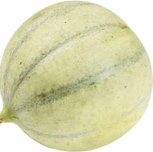 se 20k/kg MELON