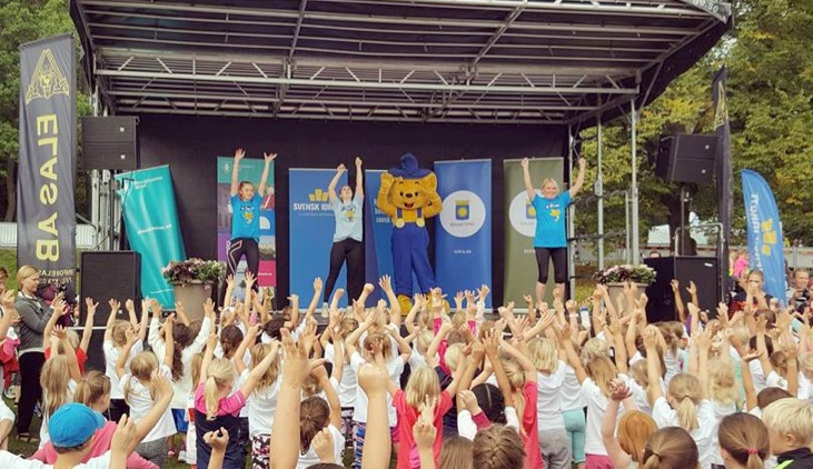 Verksamhetsområden Under 2016 har Gymnastikförbundet Öst och dess regionala kommittéer verkat för att främja och utveckla förutsättningarna inom respektive del av verksamheten.