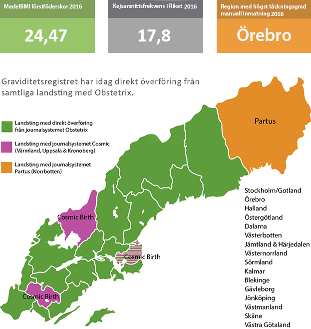 även arbetat med ett övervakningssystem för att monitorera att överföringen från journalsystemen.