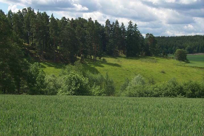 Fig: Storåns dalgång 2.9.2 Natur- och kulturmiljö Göta kanal är av riksintresse för friluftsmiljö och kulturmiljö. Landets främsta kanalmiljö är av stor teknikhistorisk betydelse.