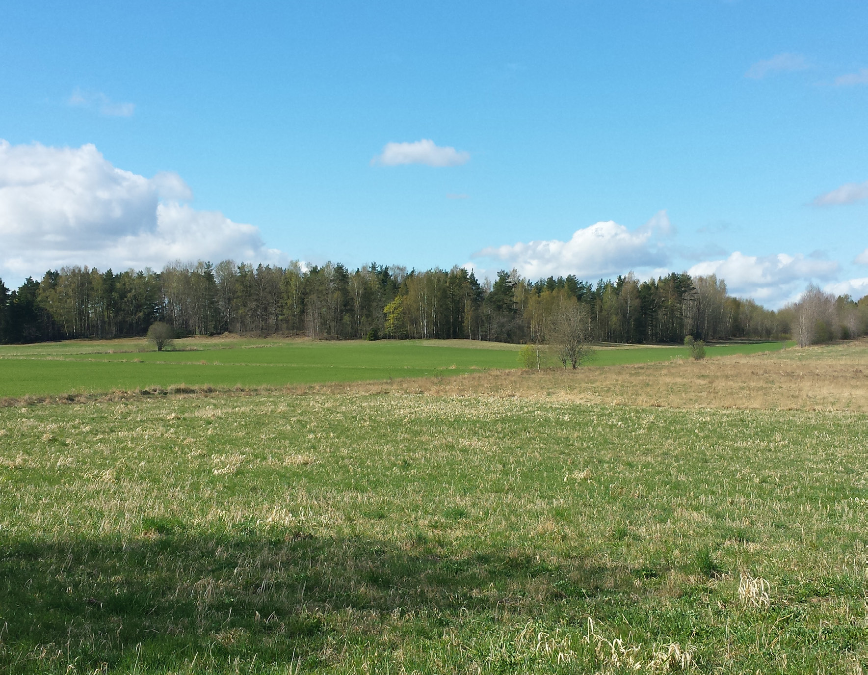 Mark och vegetation Planområdet består av öppen obrukad åkermark med inslag av lövskog i de västra delarna av planområdet.