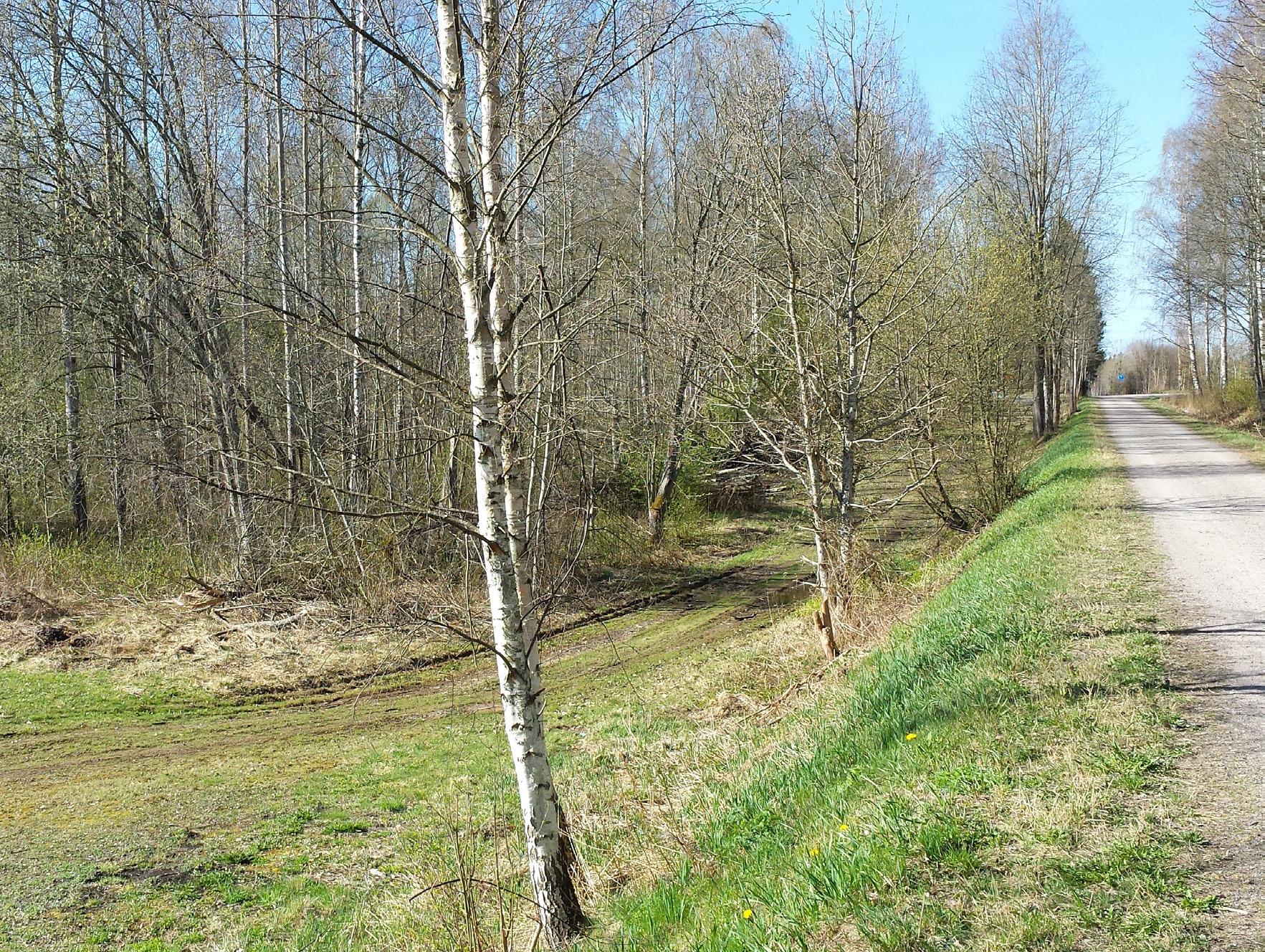 Allén, åkerholmen och de diken som genomkorsar planområdet har påtagligt naturvärde och omfattas av det generella biotopsskyddet enligt 7 kap. 11 miljöbalken (MB).