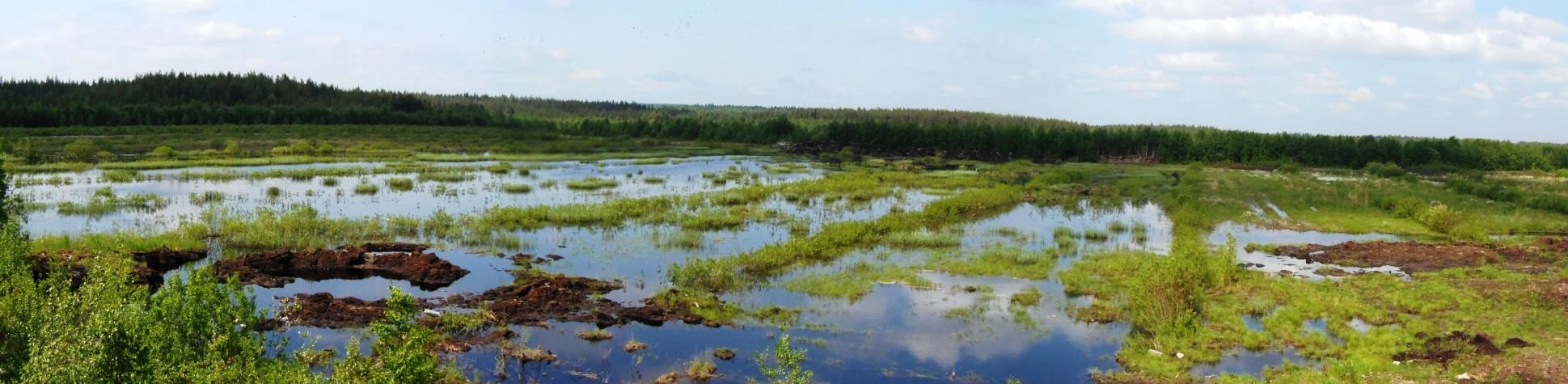 Miljöavtal: Avtal om skötsel av våtmark Avtal om skötsel av våtmark kan sökas för en våtmark, ett översvämningsområde eller en areal som upptas av en fåra som återställts i naturenligt