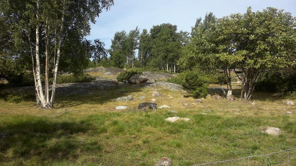 Avtal om skötsel av jordbruksnaturens biologiska mångfald och landskapet Vårdbiotoper och naturbeten Skötseln av ett område som klassats som vårdbiotop och skötseln av förekomsten av en hotad art bör