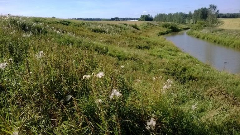 Gödsling och miljöersättning Stallgödselundantag Stallgödselundantaget för fosfor får tillämpas bara vid användning av enbart stallgödsel från husdjur (inga andra organiska gödsel).