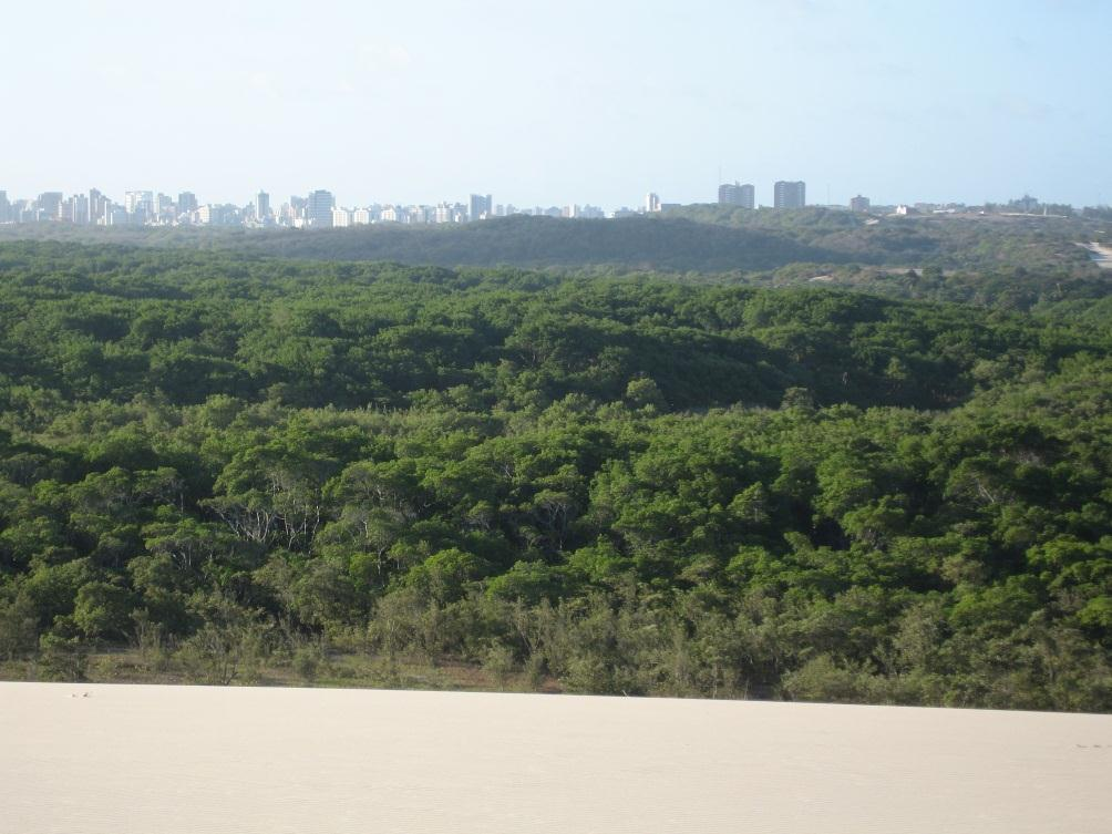 (Fator Verde) har tagits fram för buffertzonen runt naturreservatet Sabiaguaba.