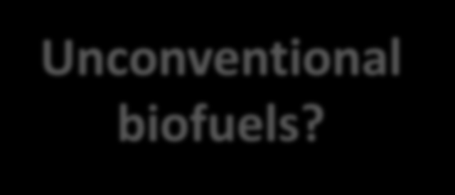 Advanced biofuels?