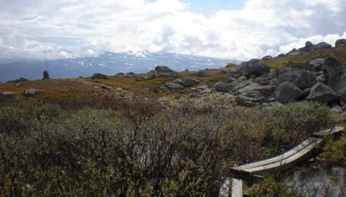 Figur 54. Landskapsrummet är oerhört storskaligt.