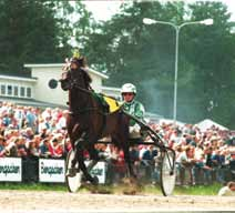 Detta rekord är från jackpotomgången på Solvalla den 7 november.