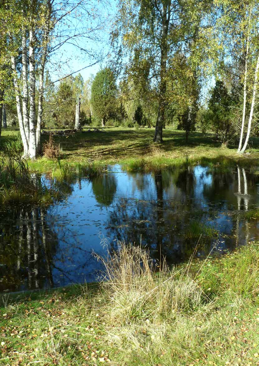 22 Myllrande våtmarker: Våtmarkerna har många viktiga funktioner i landskapet.