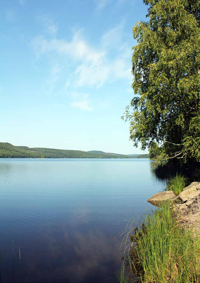 26 Levande sjöar och vattendrag: Ett av de största problemen för naturvärden i och kring sjöar och vattendrag inom kommunen är att det växer igen utmed stränderna