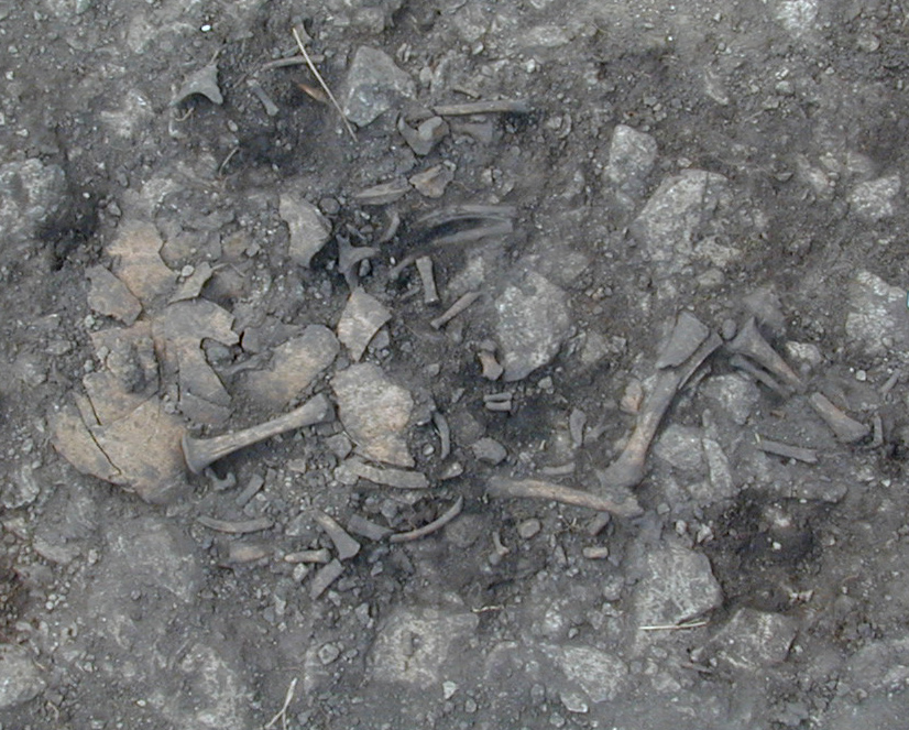 efter nedgrävning kunde ses i den västra delen av graven och denna ritades. Någon tydlig kontur av nedgrävning kunde ej ses för resterande del av gravkontexten.