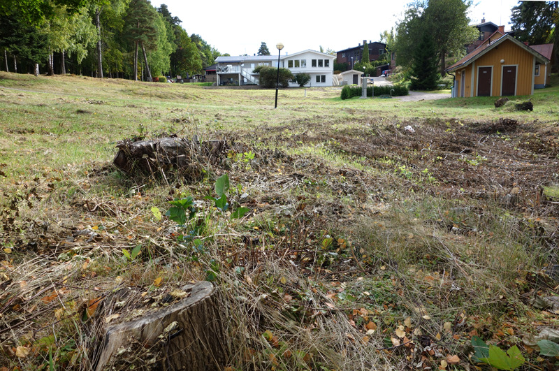 I informationen på kommunens hemsida om projektet påstås att mer än hälften av skogen ska vara kvar på Kullen.