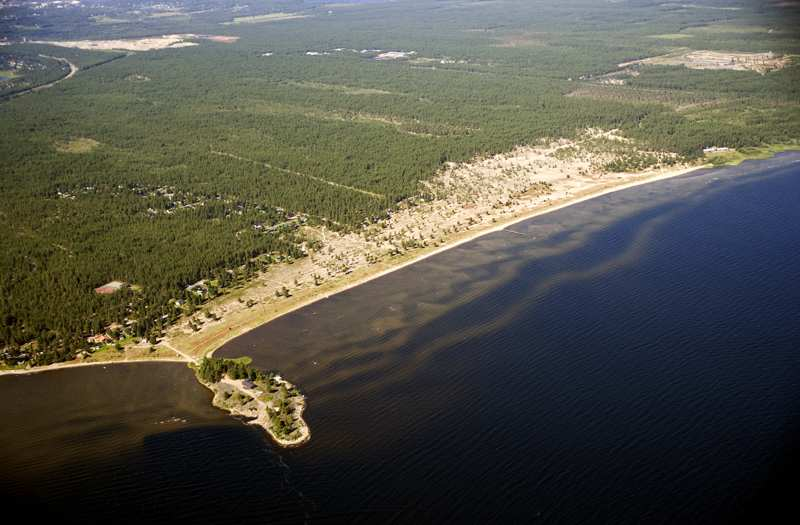 SANDÄNGESSTRANDEN Piteås kommunala naturreservat Sandängesstranden angränsar till det nya området för fritidstomter på Klubben.