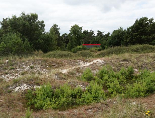 Röd linje markerar ny taknock som överensstämmer med ny taknock. Markterrasser och terrassanordningar av trä eller sten får anordnas inom markerat område på plankartan.