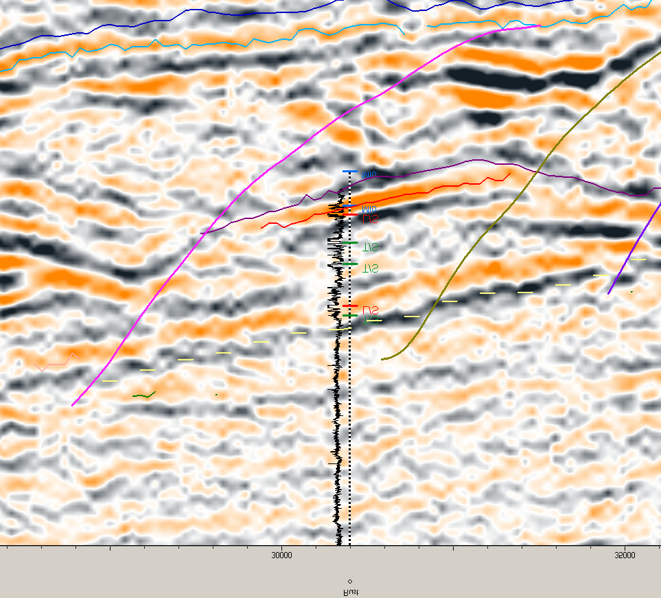 West-East Seismic Cross Section through Well.