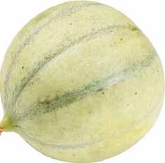 se 20k/kg MELON