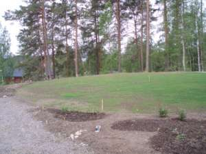 25 dagar