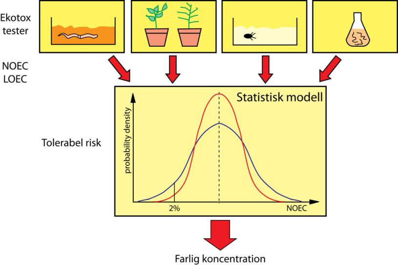 PAF (potentially affected fraction) Riktvärden för skydd av markmiljön Värden beräknade statistiskt från labförsök Tar inte hänsyn till lokal