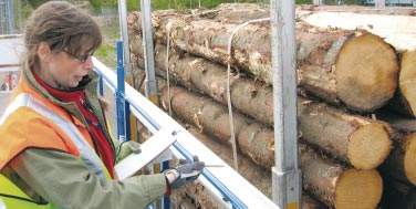 För att öka kapaciteten för upparbetning hämtade de stora aktörerna ner skogsmaskinlag från nordligare delar av landet och från utlandet.