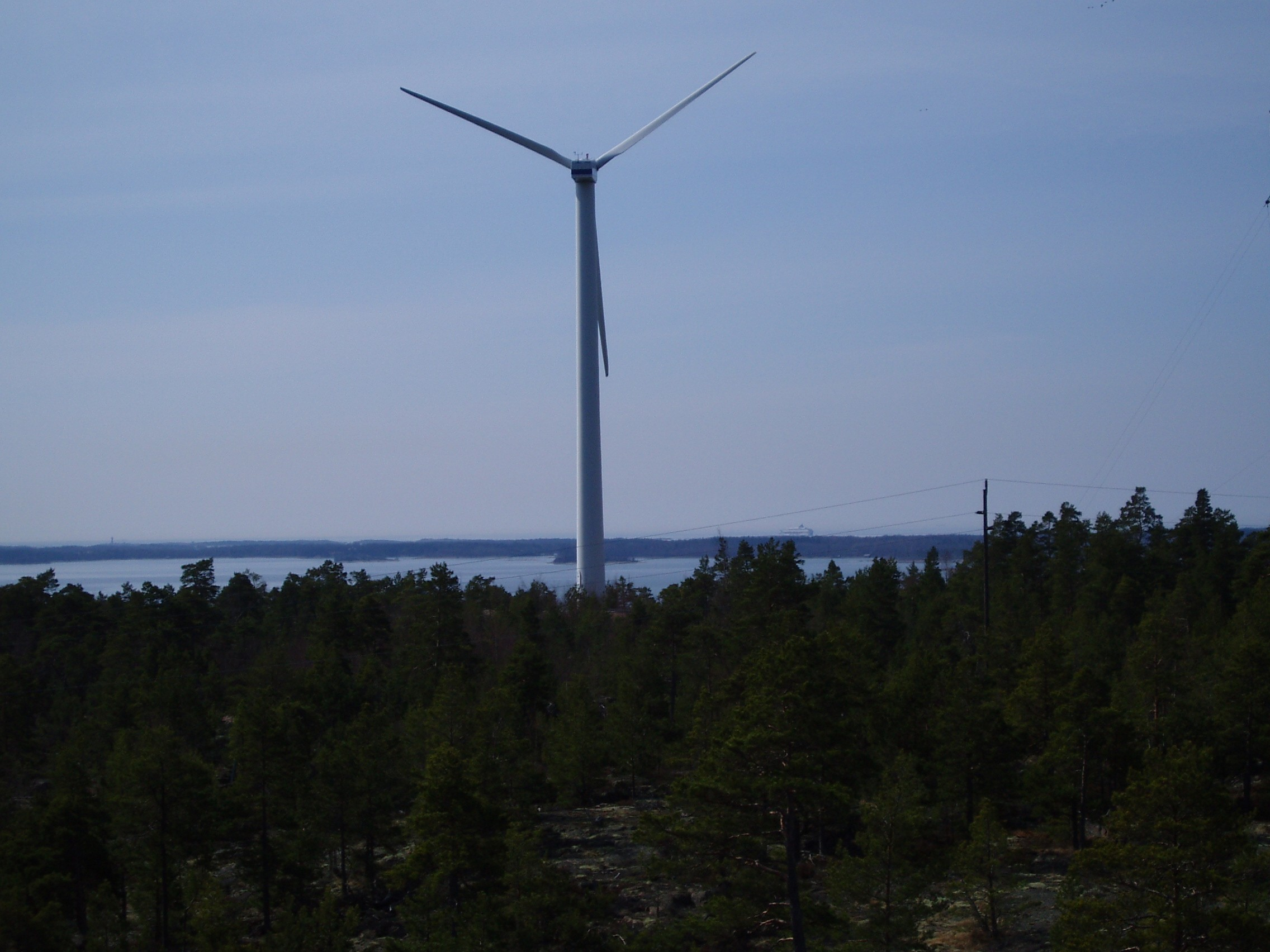 Disponering av årets resultat Då andelslaget har två typer av andelar föreslår styrelsen att de frivilliga andelarna, vilka inte fått återbäring på egen el, ges ränta på andelskapital.