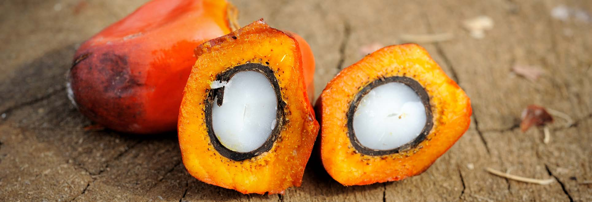 VAD ÄR PALMOLJA? Palmolja är den mest använda vegetabiliska oljan i världen. Palmfruktsolja, allmänt känd som palmolja, produceras från oljepalmens (Elaeis Guineensis) fruktkött.