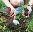 planteringsjord Klar att använda organi e r / ros o r r ti Indoor Outdoor T PRODUCERAD Basic Allround Blomjord Hög kvalitet för allroundanvändning Uppfyller högt ställda krav Berikad med organi