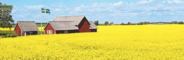 5. Grundläggande näringslära, 3,5 tim (Målgrupp: F,, ) Maten vi äter behöver vara balanserad för att kroppen ska må bra. I Sverige fortsätter barnfetman tyvärr tt öka.