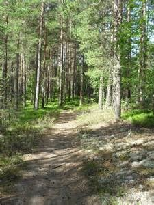 00 Vi träffas på Kupan och åker gemensamt med en minibuss eller i bilar till Skutberget. Alla har med sig egen matsäck. Tag med badkläder om vädret lockar oss till bad.