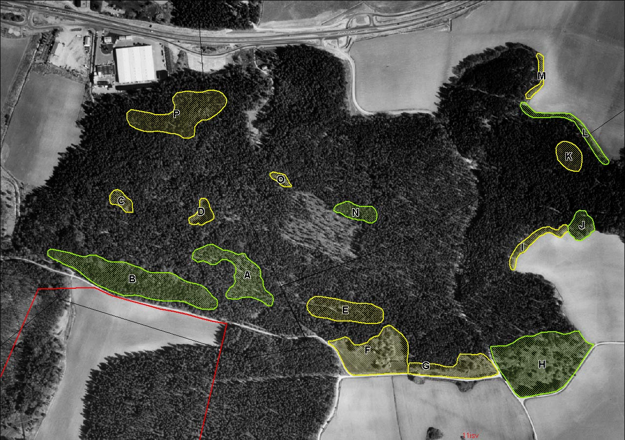 2 december 2003 NYBODASKOGEN Omfattande del av fastigheten Ölsta 1:1 m fl fastigheter i Sigtuna kommun, Stockholms län Lövträdsrikt bryn Lövträdsrik Lövträdsrik Lövträdsrikt bryn