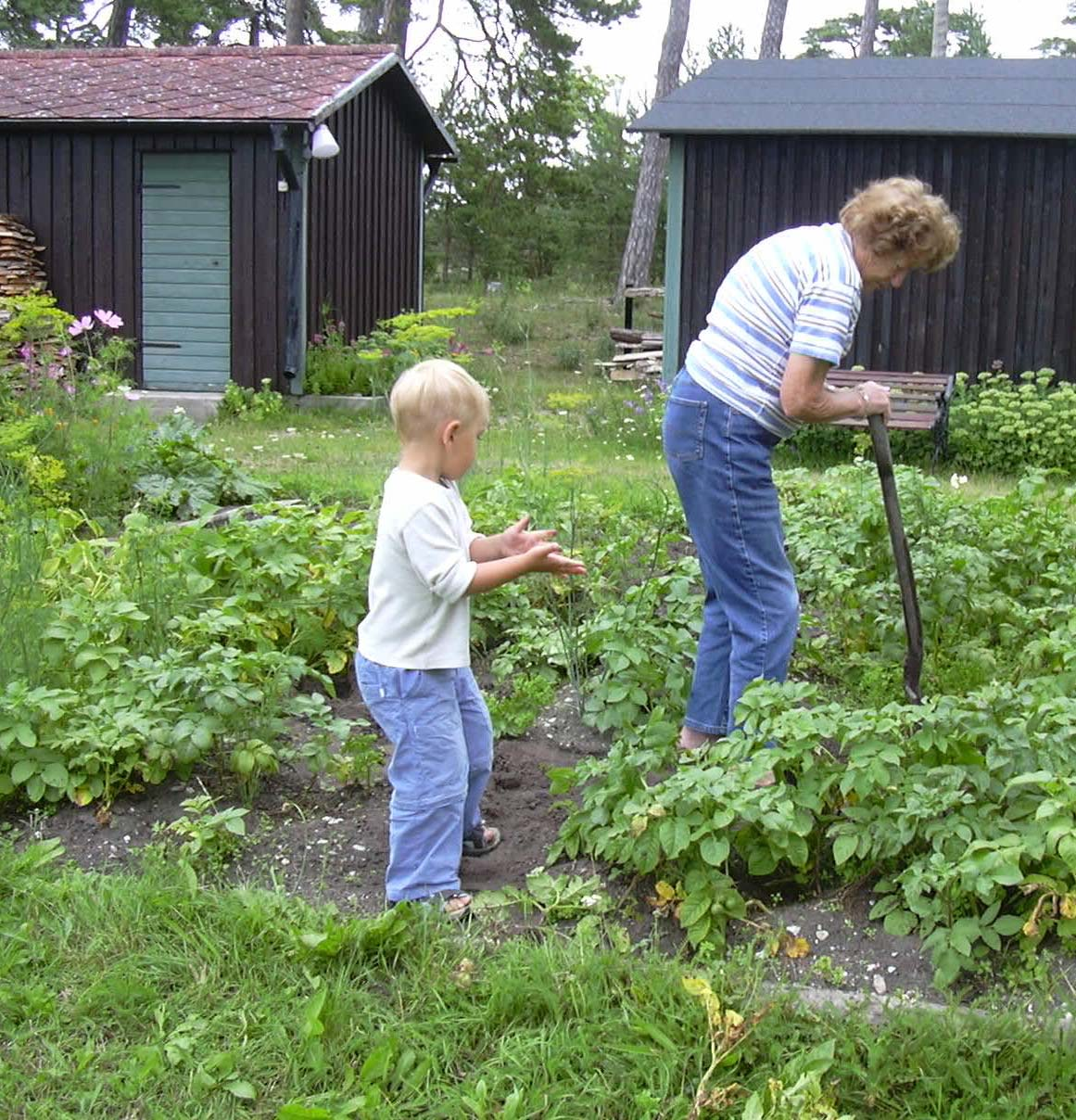 Foto: Caroline Bernander, Länsstyrelsen Social sammanhållning Inom blocket Social sammanhållning finns det nationellt 25 indikatorer varav två huvudindikatorer, Ekonomisk utsatthet och Demografisk