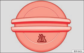 Expansionstanken för kylvätska känns lätt igen på symbolen på locket bild 245.