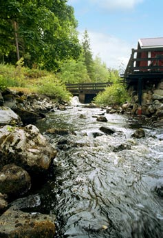 Det är lätt att spara el, bara man vet hur. Minskad energiförbrukning är bra för både den egna hushållskassan och hela jordklotet. Och alla kan hjälpa till! Vi på E.