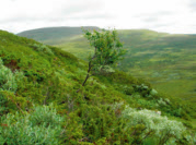 Hamrafjället når upp till 1130 m ö.h., den södra av Småhamrarna till 1070 m ö.h. Tidigare fanns stora snölegor i Hamrafjällets sydvända sluttningar, som låg kvar länge under sommaren och som underhöll vegetationen nedanför med smältvatten.