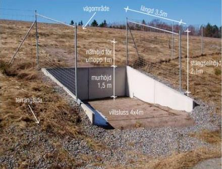 Viltpassager i plan anläggs där siktförhållandena är goda och i punkter som sedan länge är kända passager.