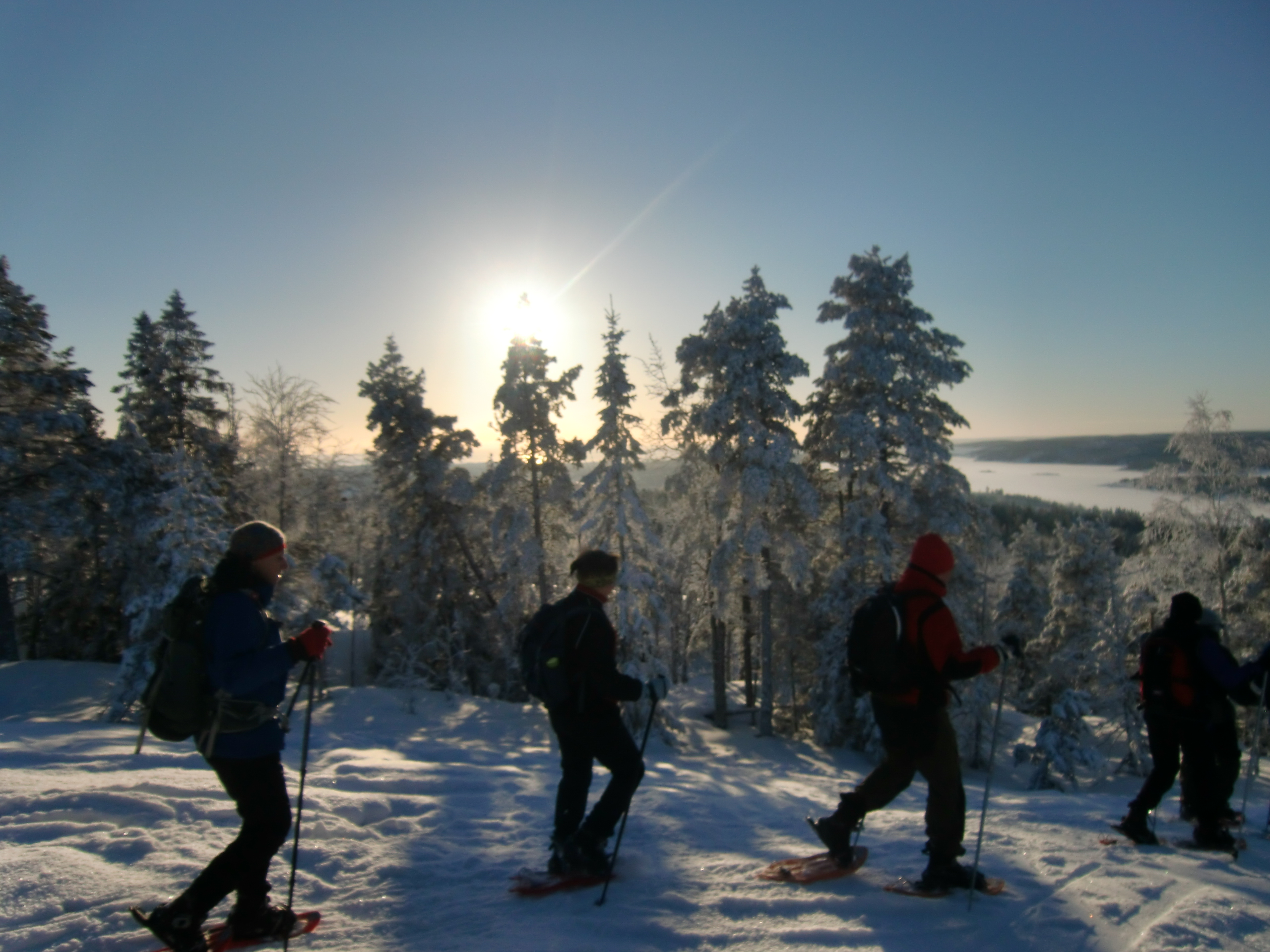 MÅNSKENSVANDRING Här är en möjlighet att vara med på en kvällsvandring upp till vår Fällestuga i månens sken, förhoppningsvis! Det gör vi på skidor, snöskor eller till fots i uppkört skoterspår.